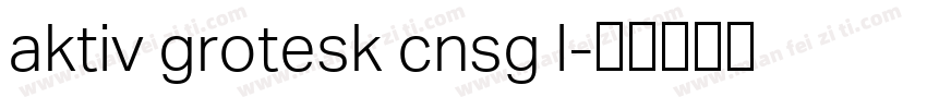 aktiv grotesk cnsg l字体转换